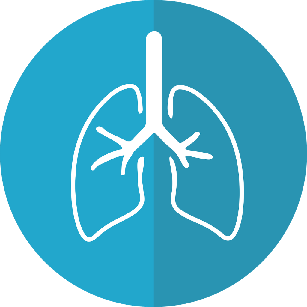 lungs, lung icon, respiration