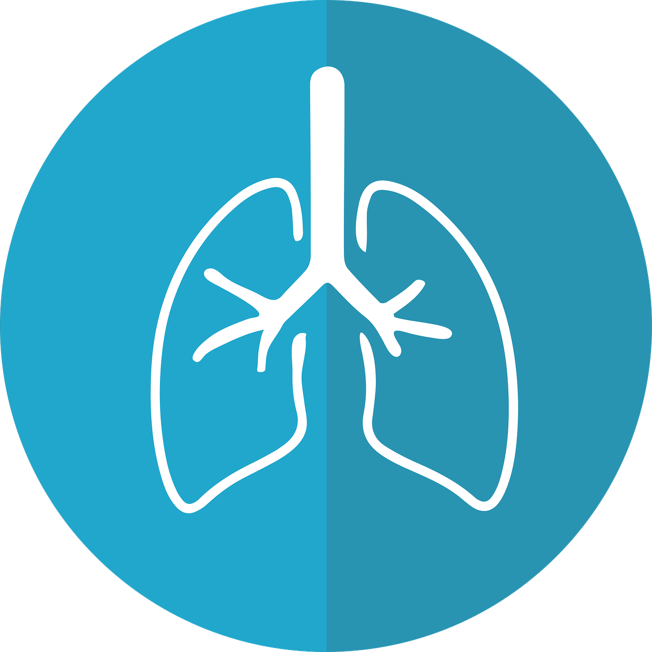 lungs, lung icon, respiration-2803208